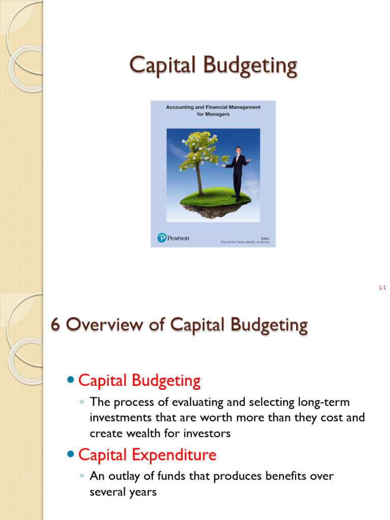 Capital Budgeting Process Overview | PDF | Net Present Value | Internal ...