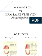 Hàm Răng Sữa V Vĩnh Viễn