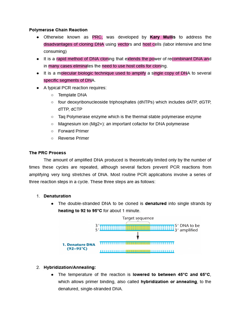 Topic 3 - Polymerase Chain Reaction | PDF | Polymerase Chain Reaction ...