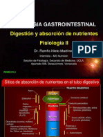 absorcion  nutrientes