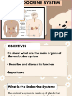 Endocrine System