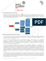 RCT - MarketSnapshot - Packaging - 28-07-2020 - CAMER FR - V1
