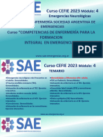 Curso CEFIE 2023: 4: Capítulo de Enfermería Sociedad Argentina de Emergencias