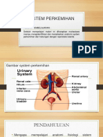 Anatomi Fisiologi Sistem Perkemihan