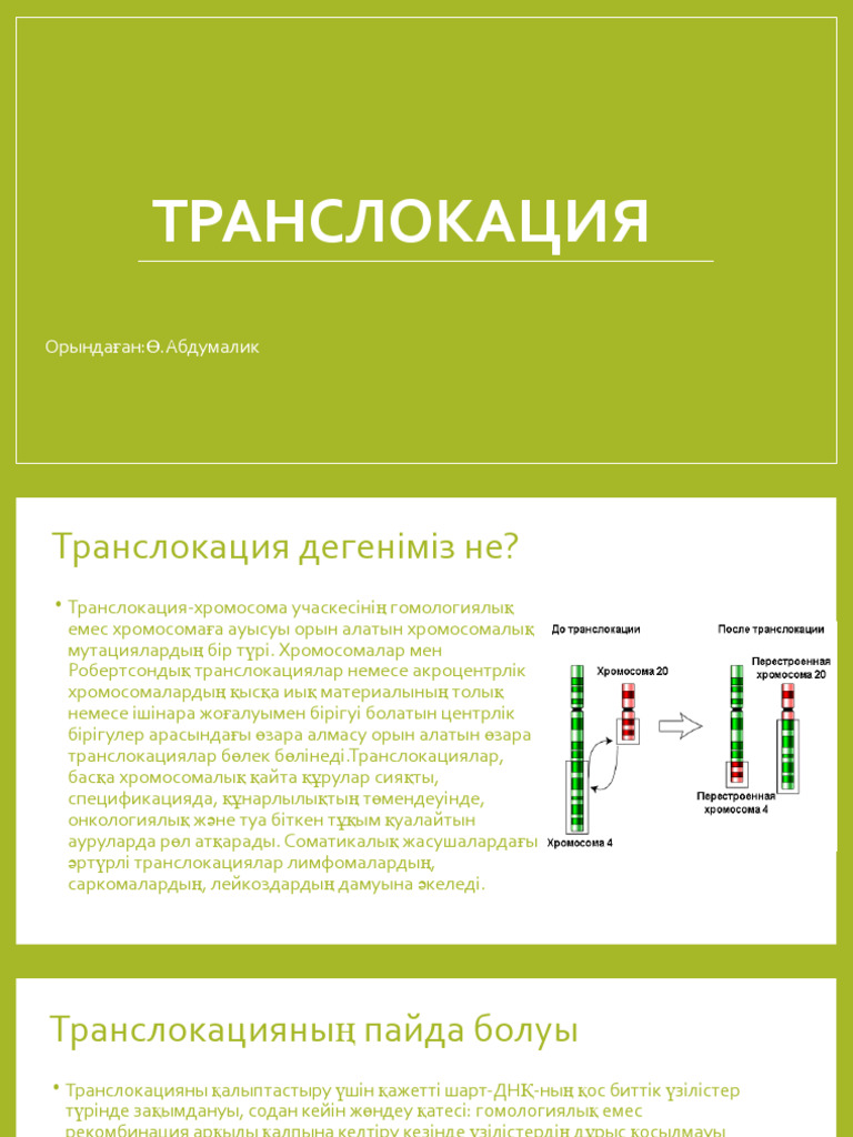 Араб тіліндегі эротикалық секс видеолар