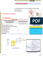 Tut4 Bio