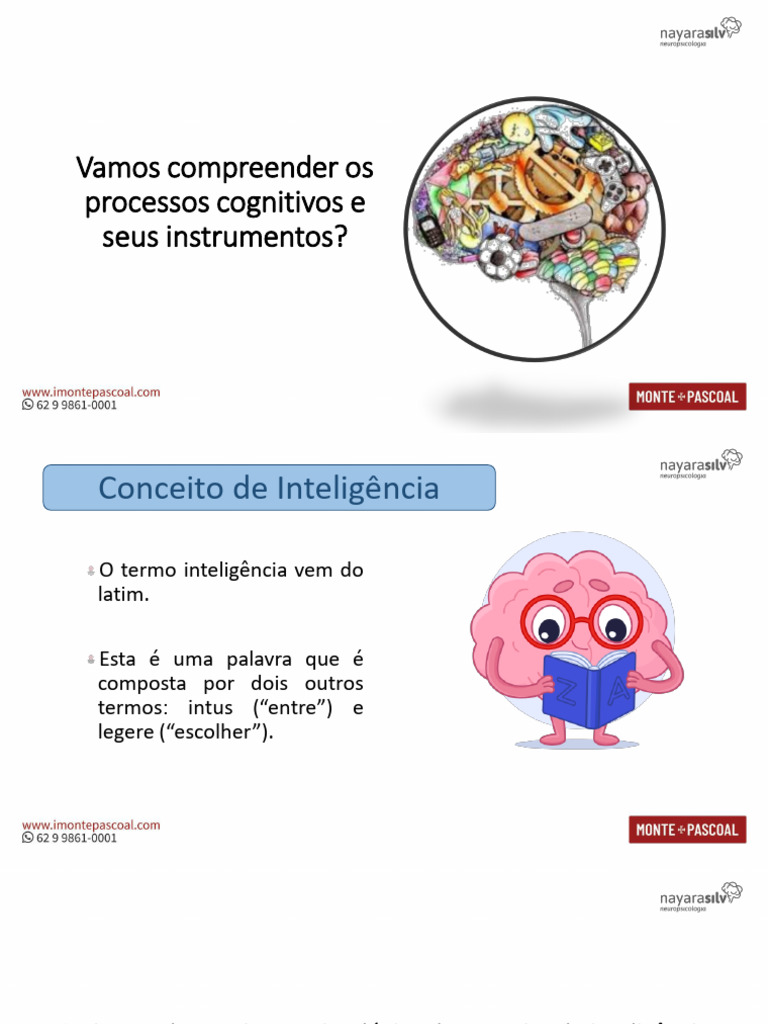 Processos Cognitivos e Instrumentos de Avaliação | PDF | Memória | Atenção