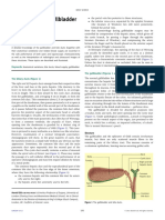 Anatomy_of_the_gallbladder_and_bile_ducts (1)_230928_195843