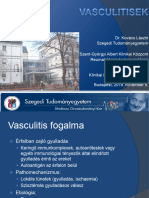 Dr. Kovacs Laszlo Vasculitisek Vasculitis-Immun 2019