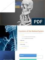 SkeletalSystem 2