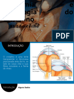 Anatomia e Histologia Do Cristalino