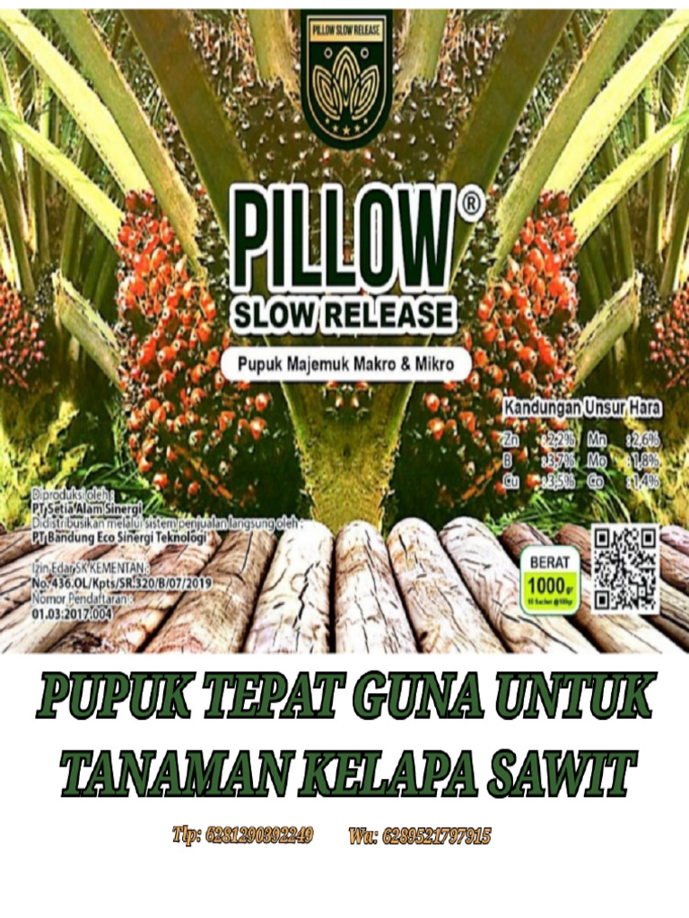 Pillow Slow Release PDF