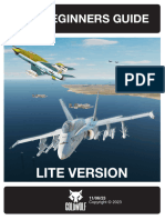 DCS BeginnersGuide v19 LiteVersion