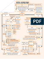 Mapa Conceptual Del Sistema Respiratorio