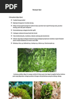 Download GAMBAR RUMPUT LAUT by Ito Saghita SN69084726 doc pdf