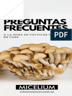 10 Preguntas Frecuentes