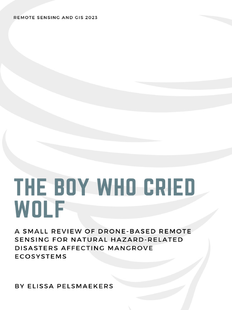 Review On Drone Based Remote Sensing Gis Assignment Pdf Science