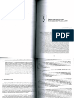 Ruiz Salvador - Ámbito Subjetivo Del Perímetro de Vinculación