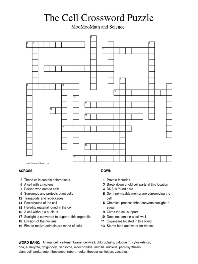 a_cell_crossword_puzzle (1) PDF Cell (Biology) Cell Nucleus
