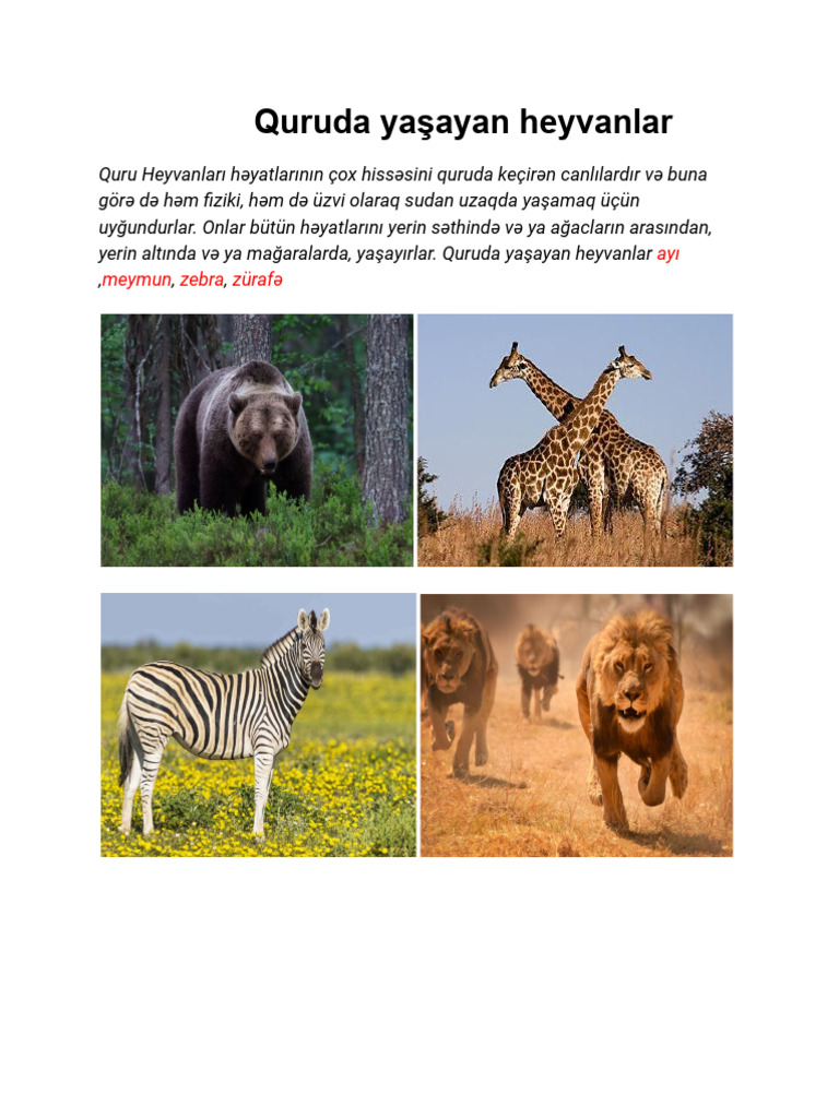 Quruda Yaşayan Heyvanlar | PDF