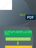 Celula 2023 II - Ipdf