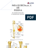 Anatomia Quirúrgica de Pierna 1