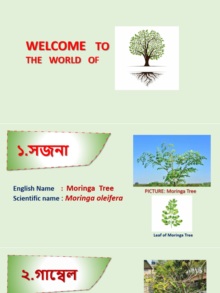 Tree Presentation Pdf Trees Plants