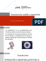 Microinyeccion y Transfeccion Genomica