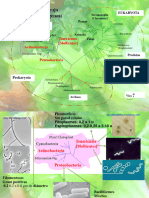 Teorico Bacterias 2023
