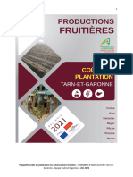 Couts Plantation Fruits CA82 2021