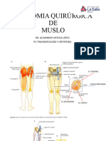 Anatomia Quirúrgica de Muslo