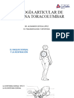 Fisiología Articular de Columna Toracolumbar