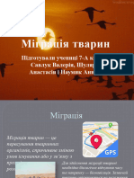 Міграція тварин