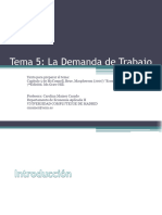 Tema 5 La Demanda de Trabajo