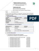 MODELO INFORME ACTIVIDADES-VECTORES Enero-Febrero