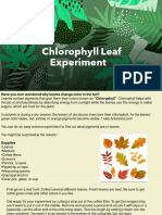 Chlorophyll Experiment