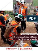 Diplomado Gestion de Seguridad Salud y Medio Ambiente en Mineria