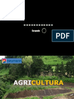 11 Agricultura