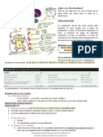 Patología Pediatrica