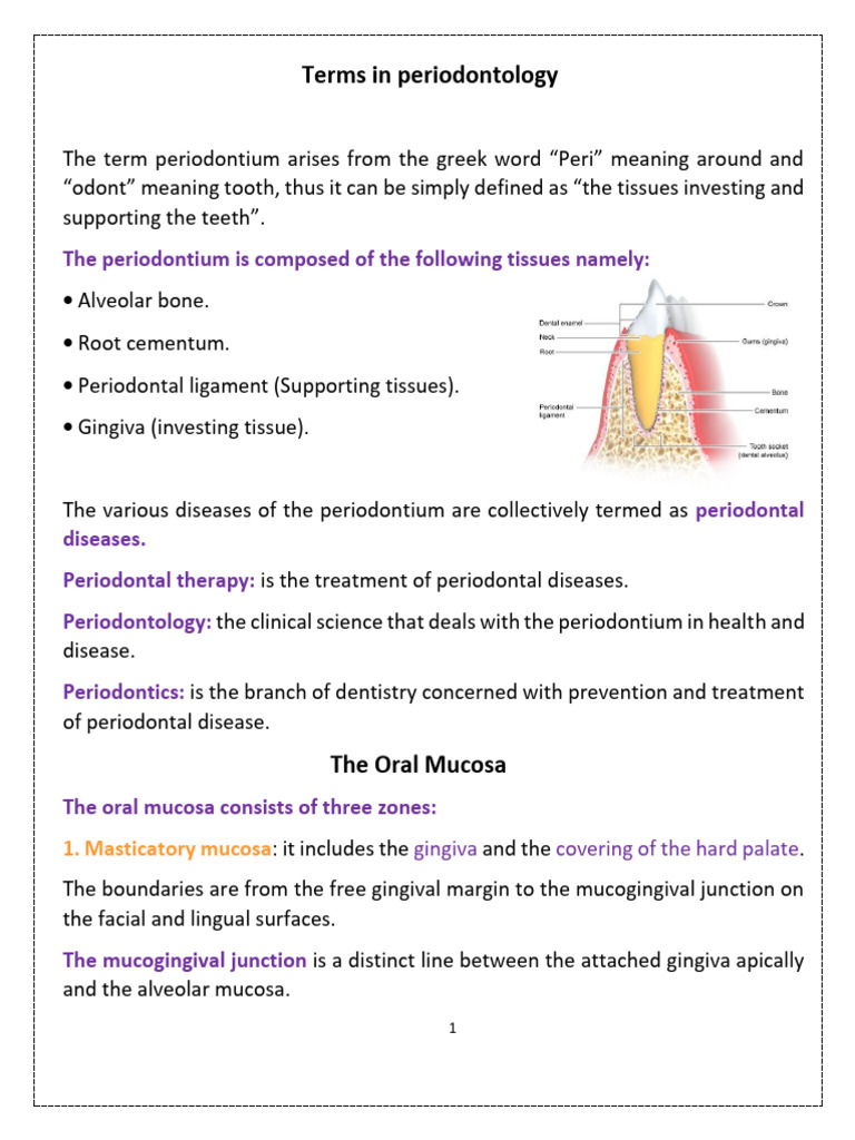 Lec 2 Terms in Periodontology | PDF | Epithelium | Periodontology