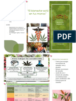 PRODUCTOS CANNABICOS