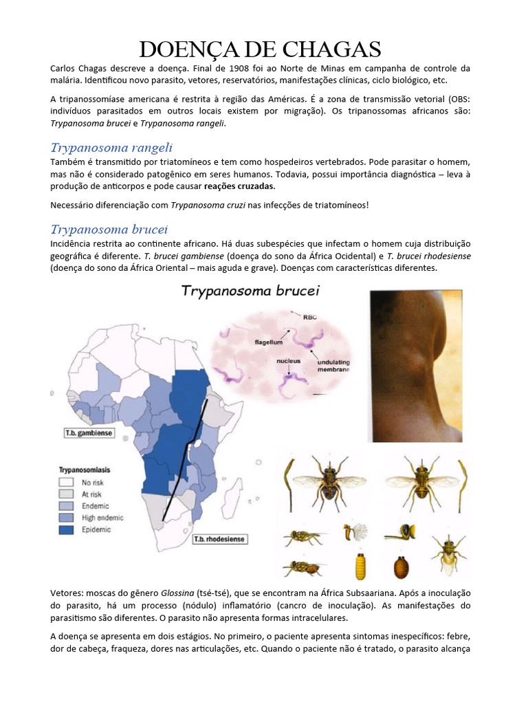 Doença de Chagas | PDF