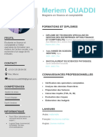 73 Modele CV Alternance 1