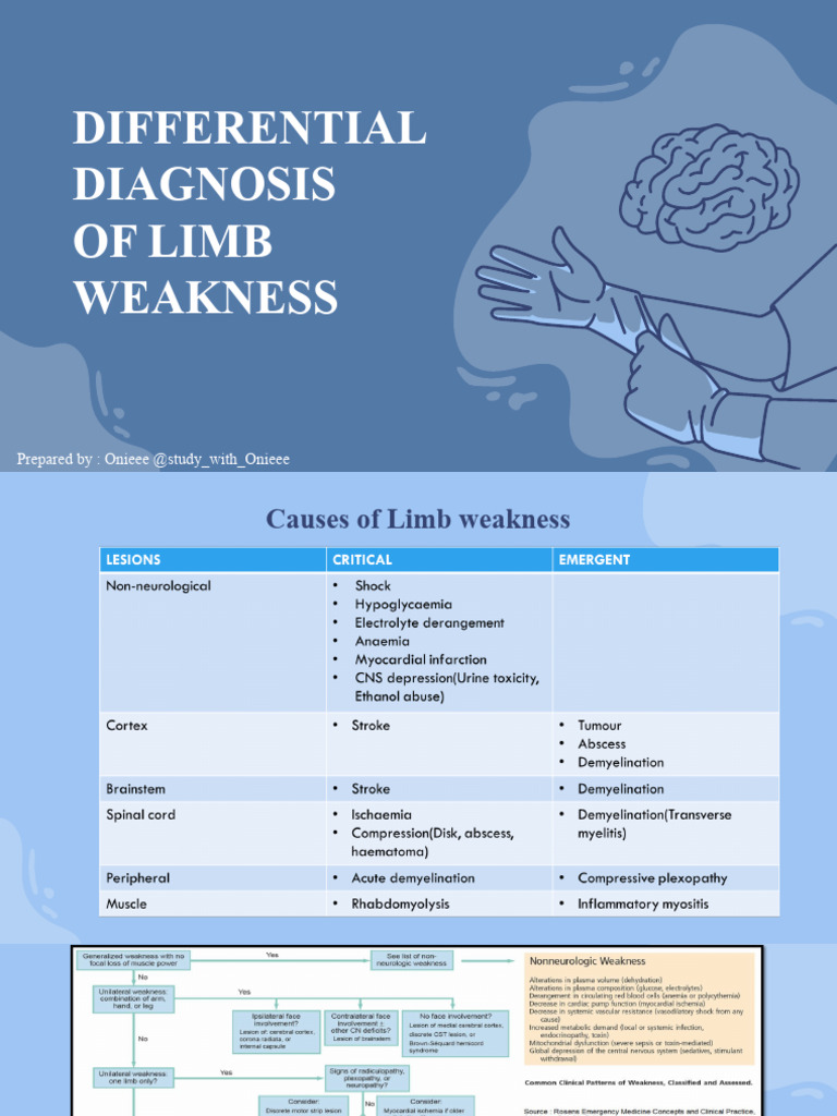 Differential Diagnosis and Stroke PDF Thrombosis Stroke