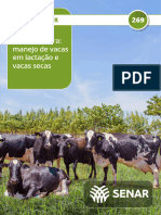 269 Bovinocultura Vacas Lactacao Secas 2022-06-03-142936 Xkoz