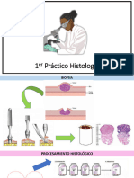 Lab 1 - Técnicas Histológicas