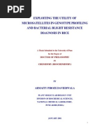 Download Thesis Exploiting the Utility of Micro Satellites in Genotype Profiling and Bacterial Blight Resistance Diagnosis in Rice by bhupendra_10059 SN69094325 doc pdf