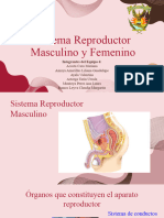 SistemaReproductor 1-102 #6