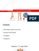 Peripheral Arterial Disease (Seminar)