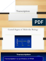 Transcription Final